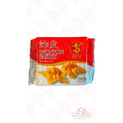 Frozen Wonton Pastry DEEP FRY RED 250G x 48